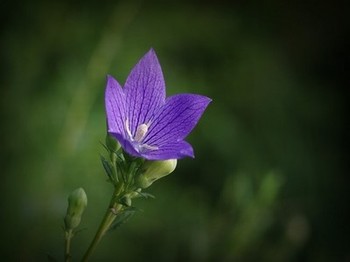 《地下室》未删全文笔趣阁