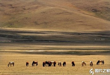 免费和外国人聊天软件